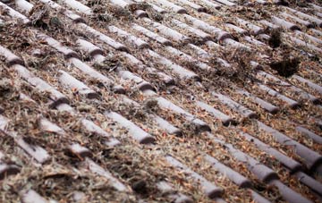 Brathens roof cleaning companies